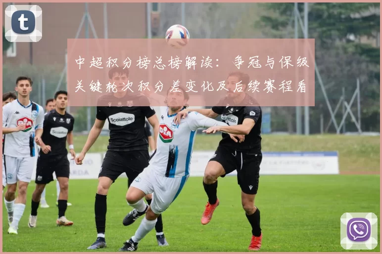 中超积分榜总榜解读：争冠与保级关键轮次积分差变化及后续赛程看点