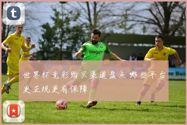 世界杯竞彩购买渠道盘点 哪些平台更正规更有保障