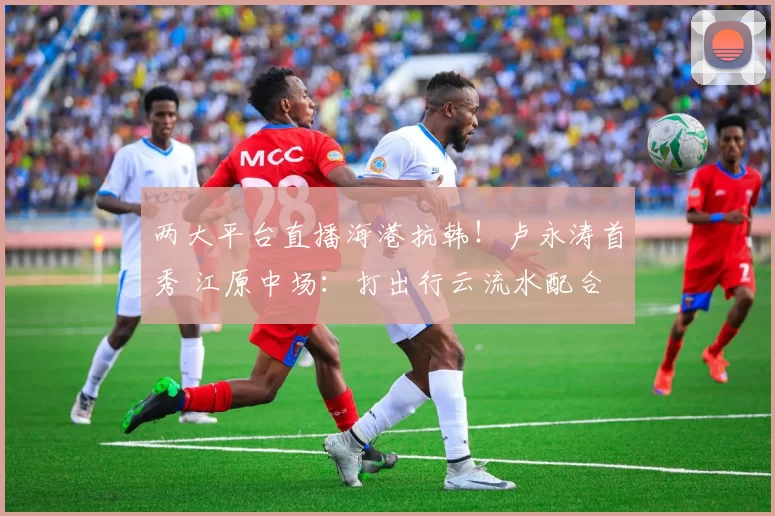 两大平台直播海港抗韩！卢永涛首秀 江原中场：打出行云流水配合