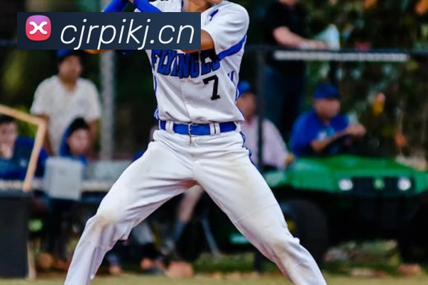 世界杯在线无插件直播服务体系